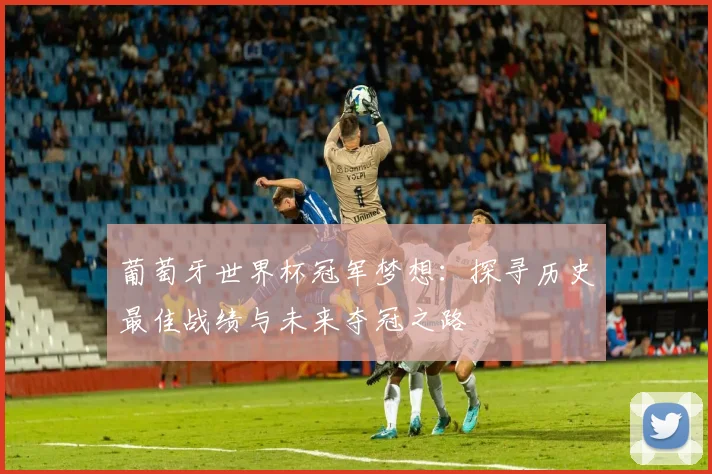 葡萄牙世界杯冠军梦想：探寻历史最佳战绩与未来夺冠之路
