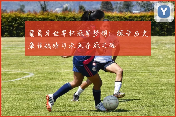 葡萄牙世界杯冠军梦想：探寻历史最佳战绩与未来夺冠之路