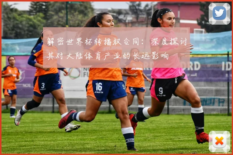 解密世界杯转播权合同：深度探讨其对大陆体育产业的长远影响